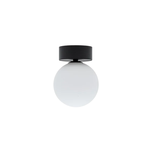 10302.webp