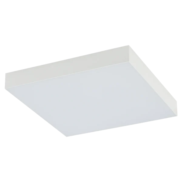 10423.webp