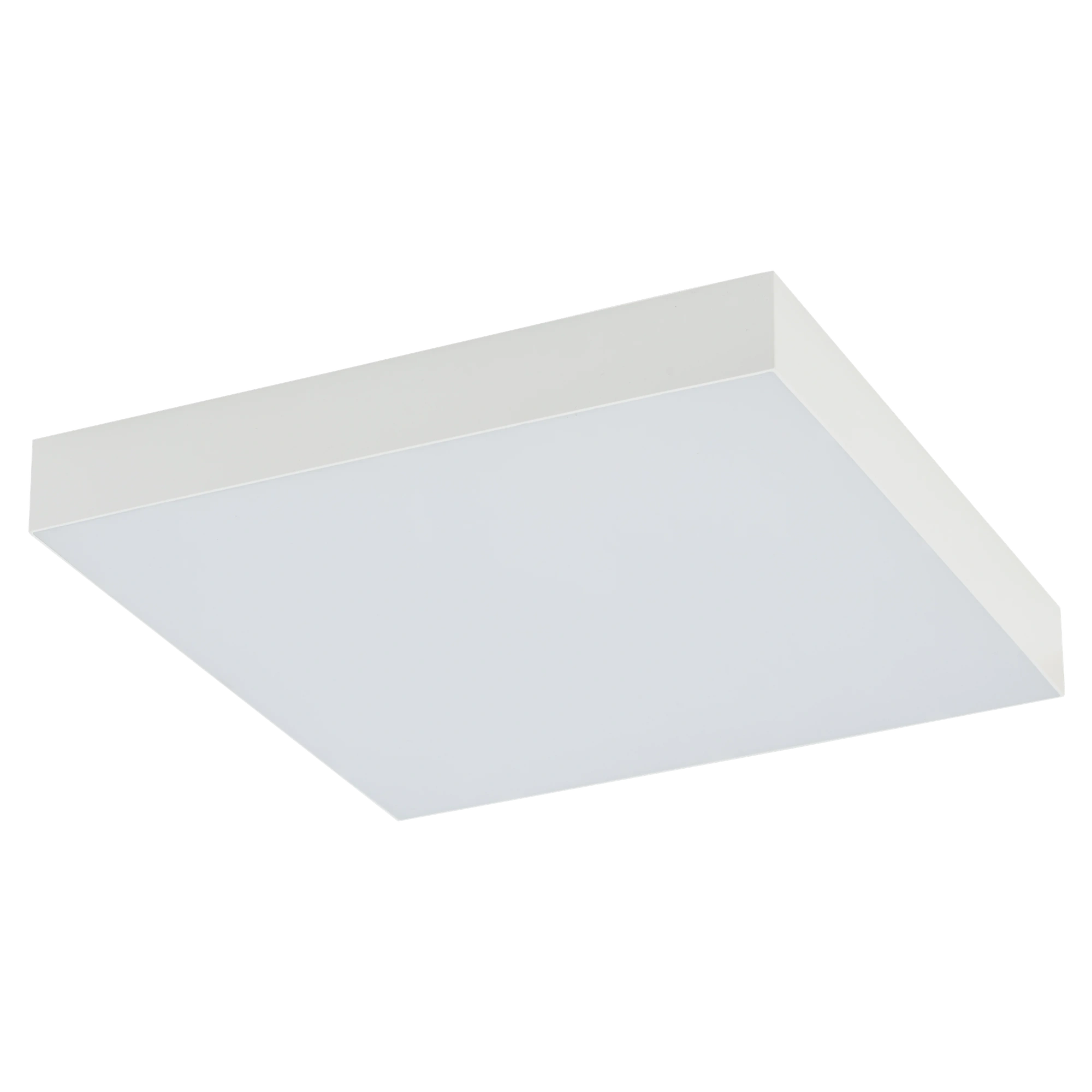 10423.webp
