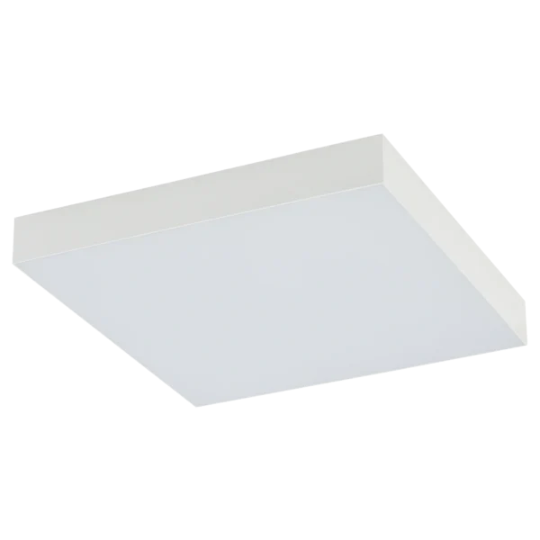 10432.webp