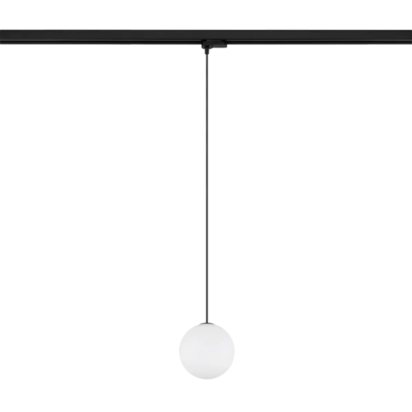 11295.webp