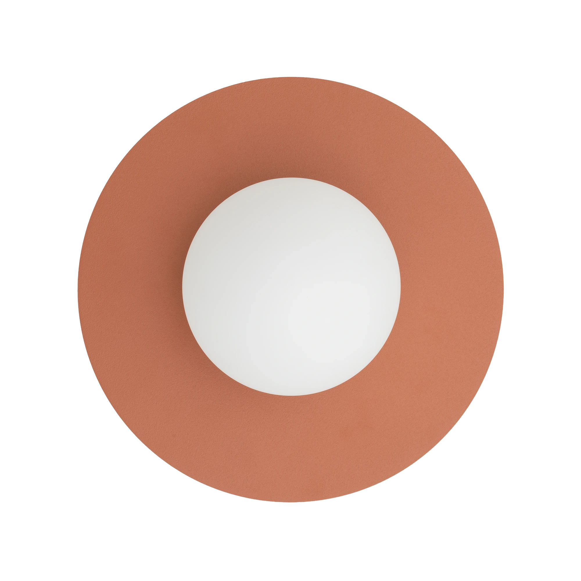 12437.webp