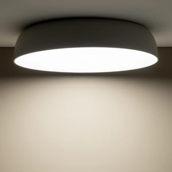 8023-1.webp