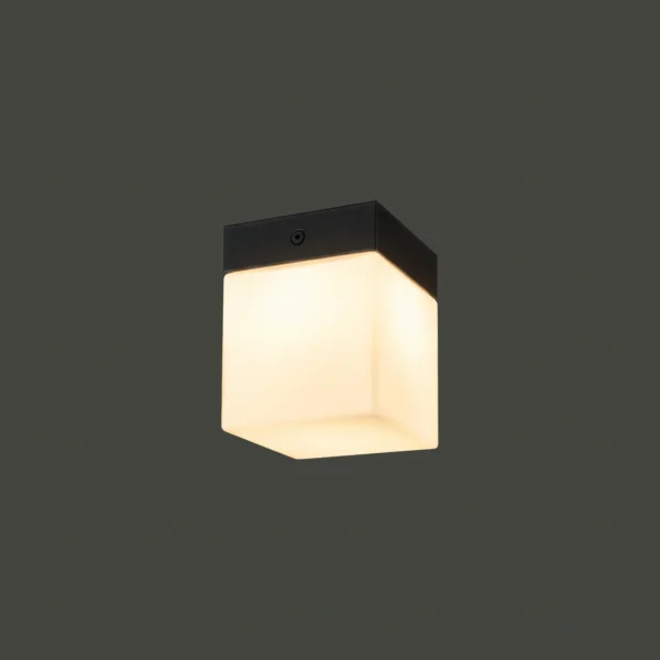 8054-1.webp