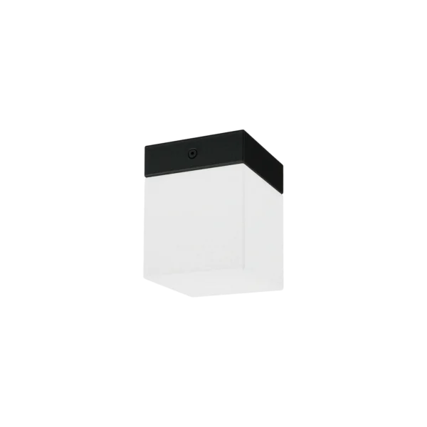 8054.webp