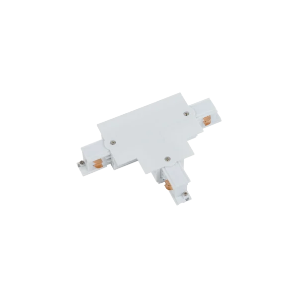 8247.webp