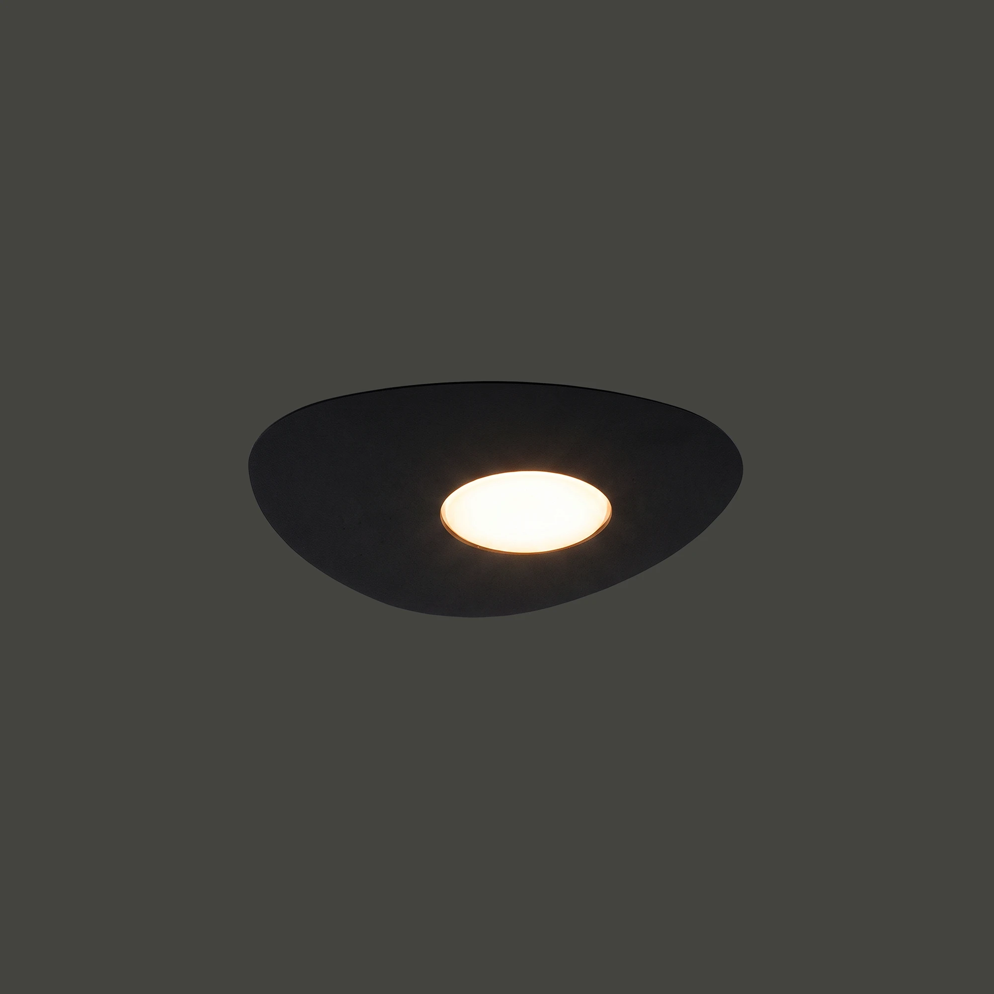 8303-1.webp