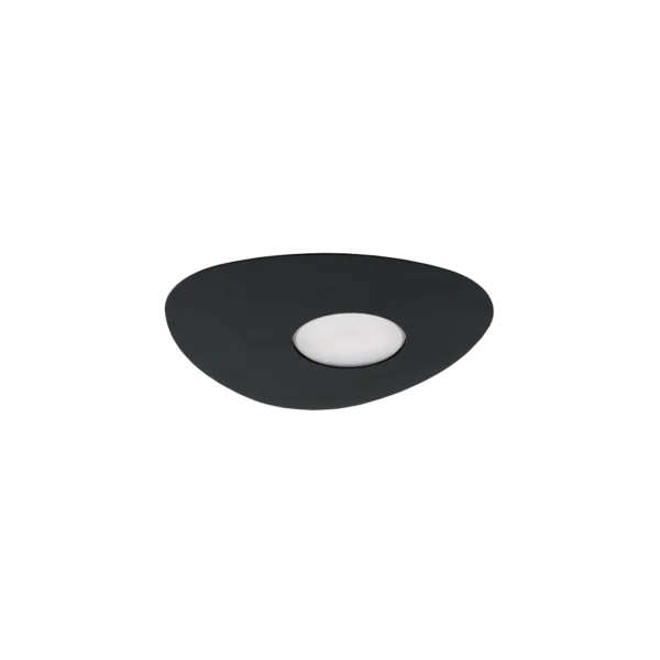 8303.webp