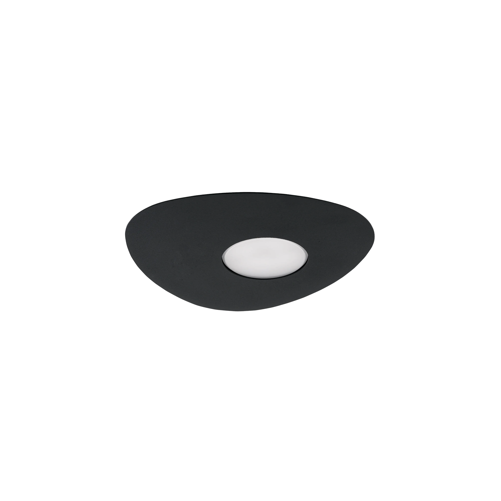 8303.webp