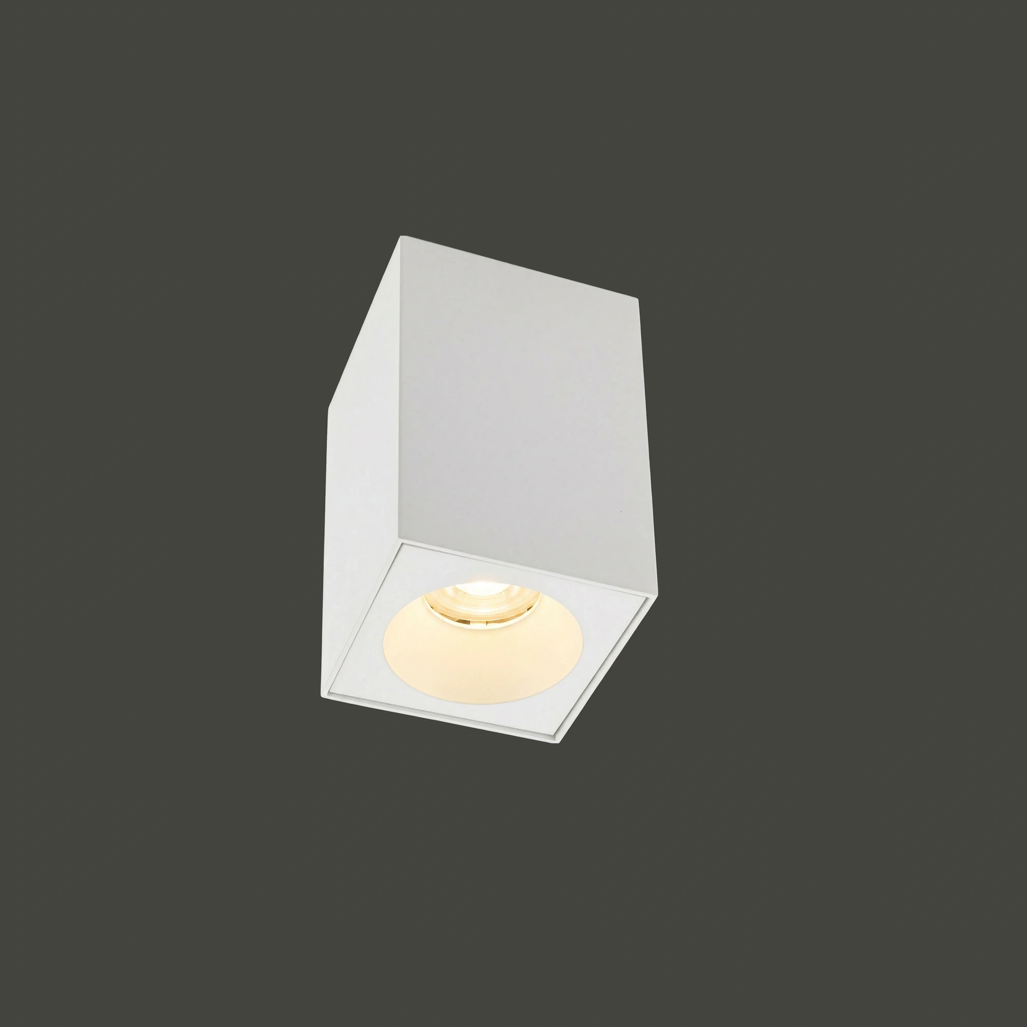 8364-1.webp