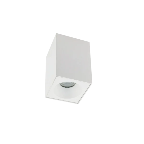 8364.webp