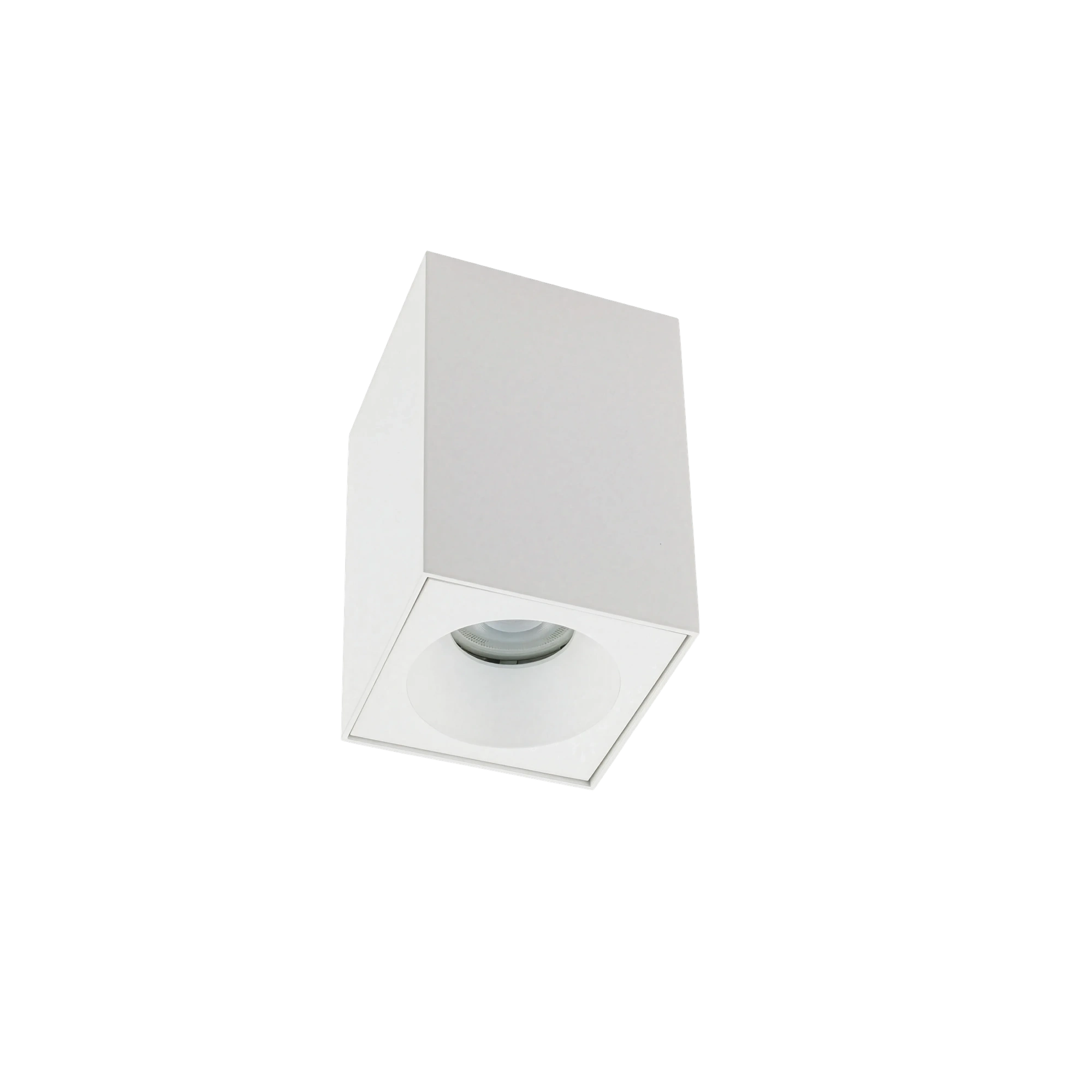 8364.webp