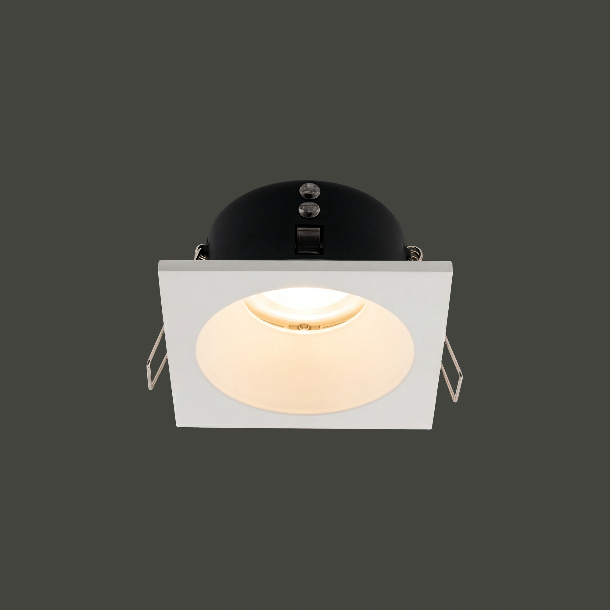 8368-1.webp