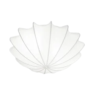 FORM