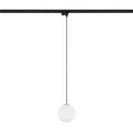 PROFILE SNOWBALL