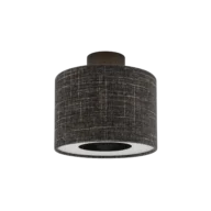 Flush mounted lamps