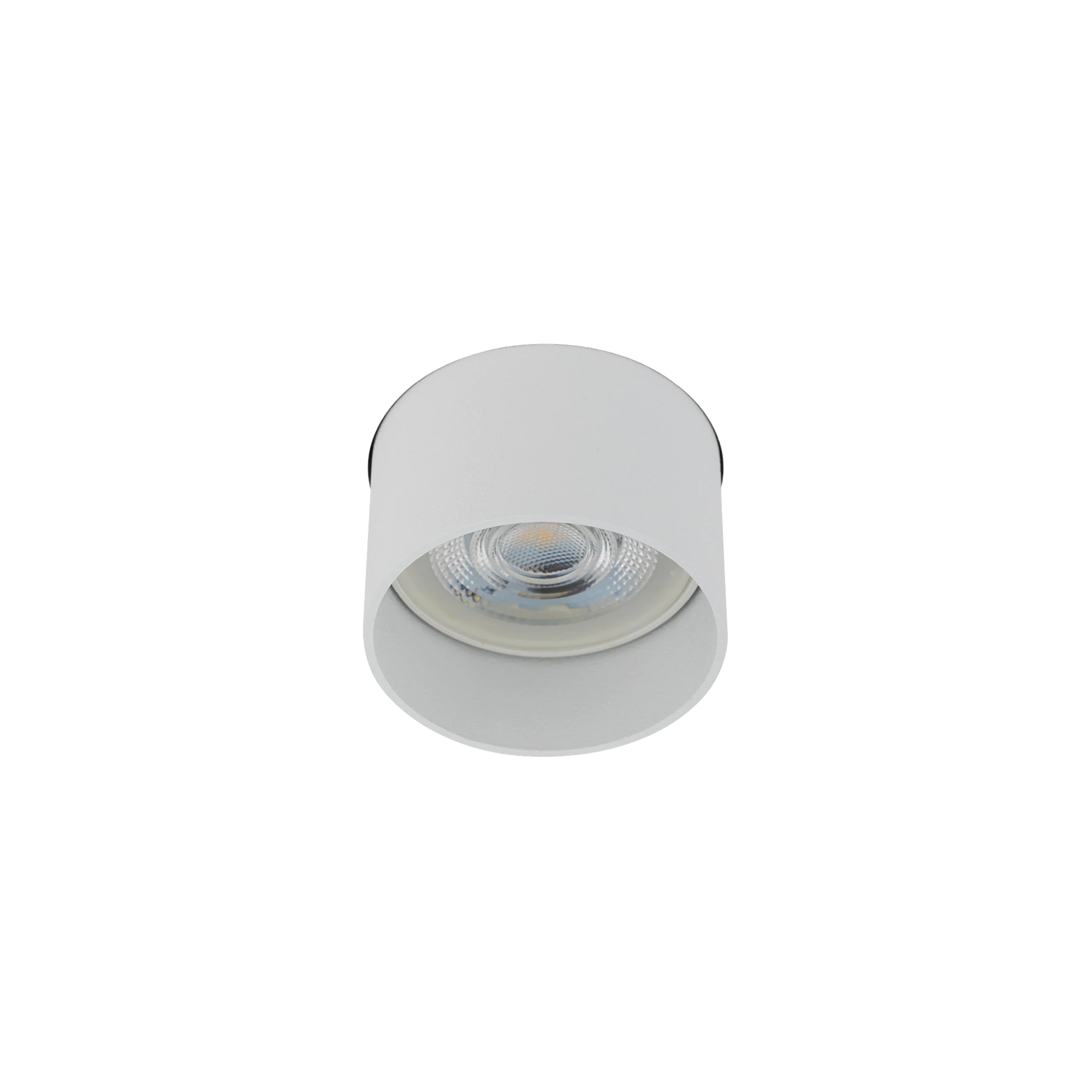 10802.webp