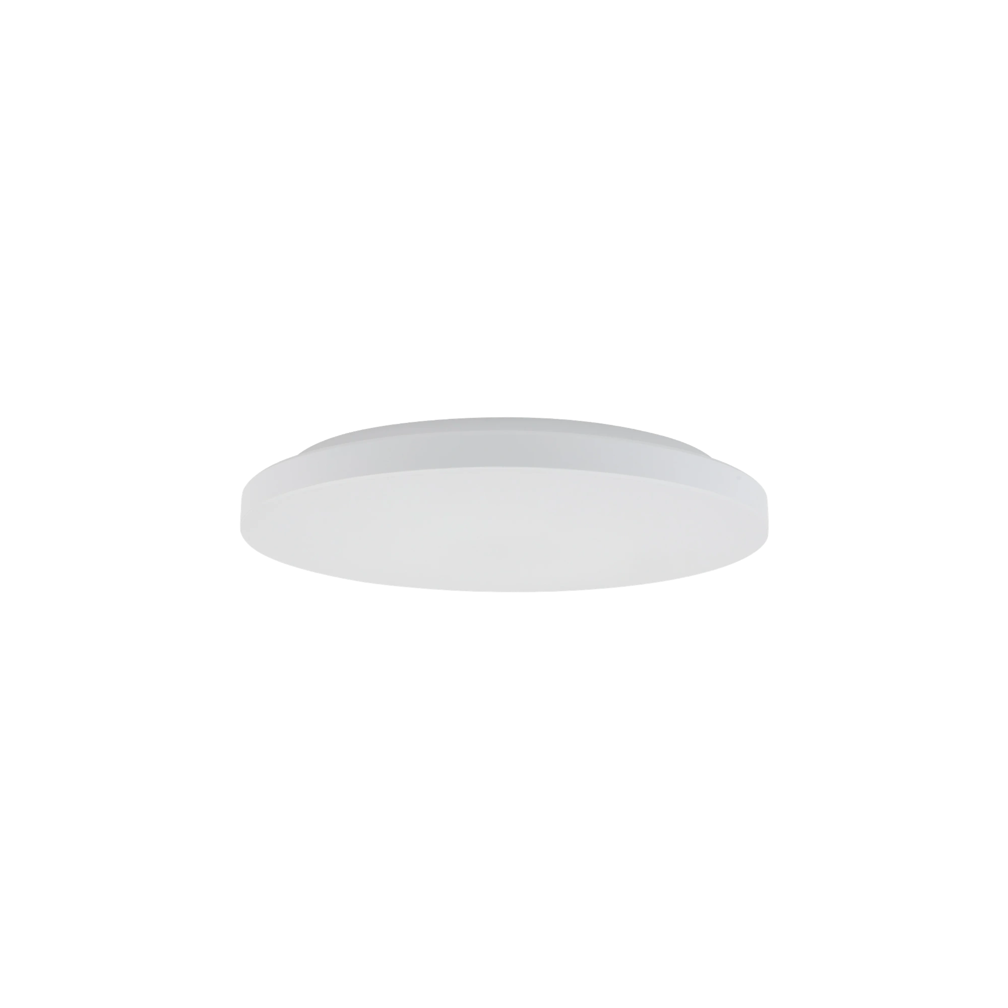 11755-1-2.webp