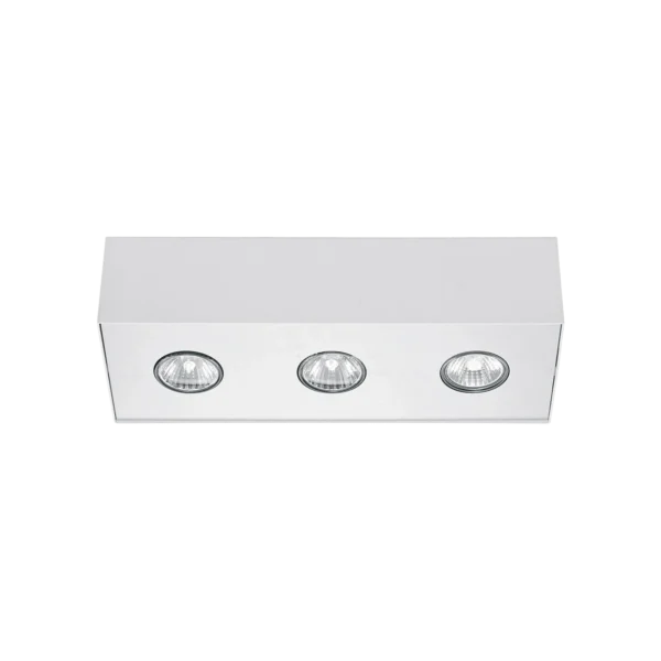 5575.webp
