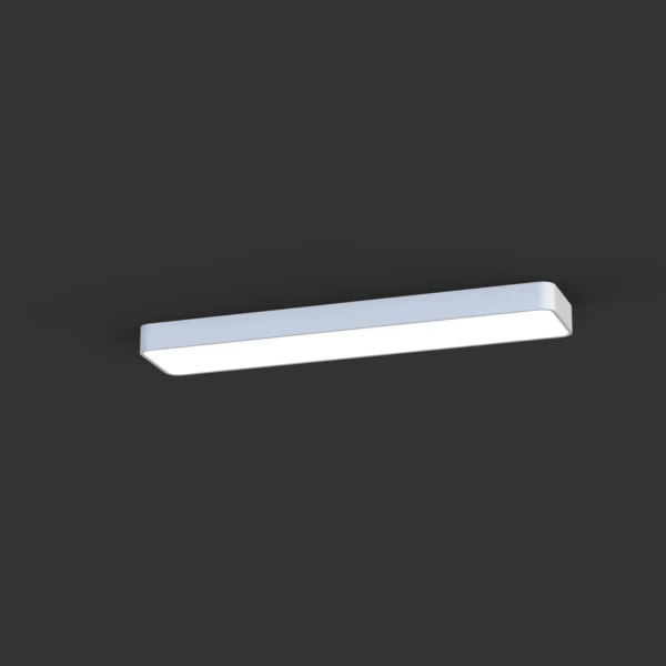 7542-1.webp