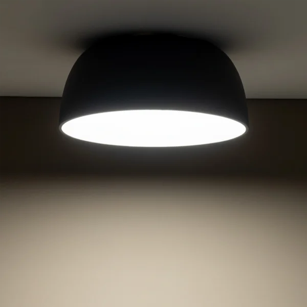8015-1.webp