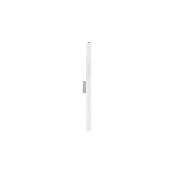 8118.webp