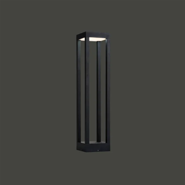 8145-1.webp