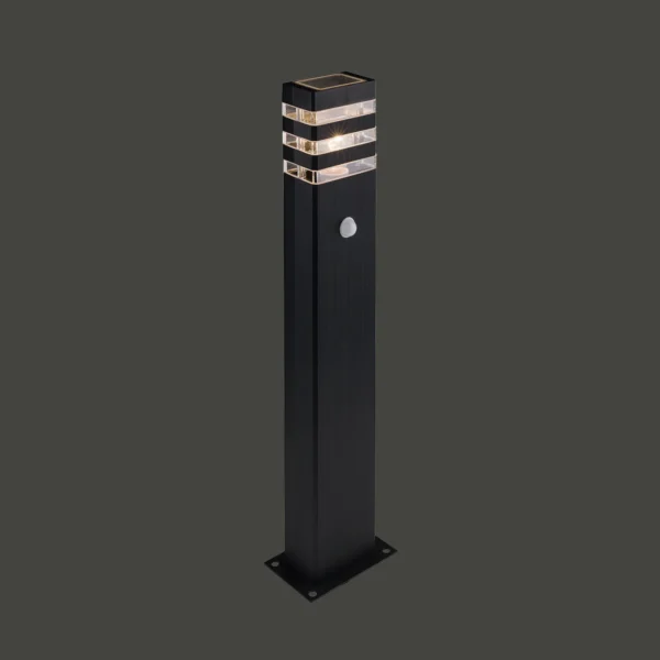 9097-1.webp