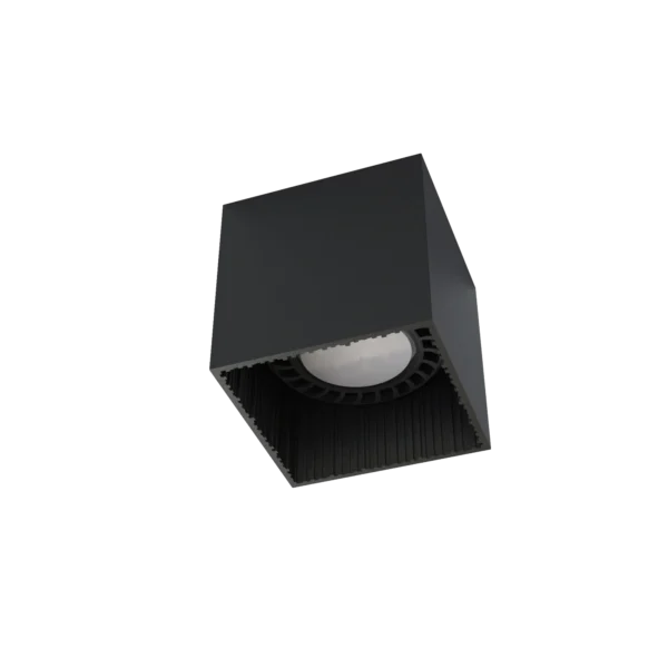 7792.webp
