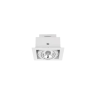 DOWNLIGHT