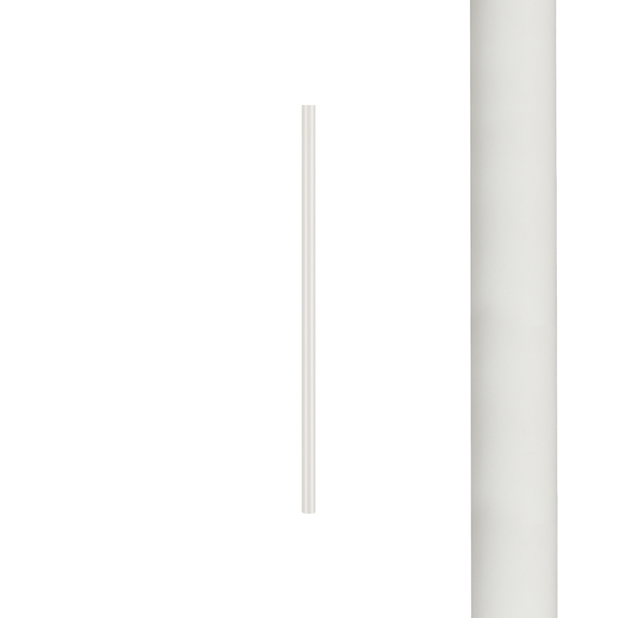 8570.jpg