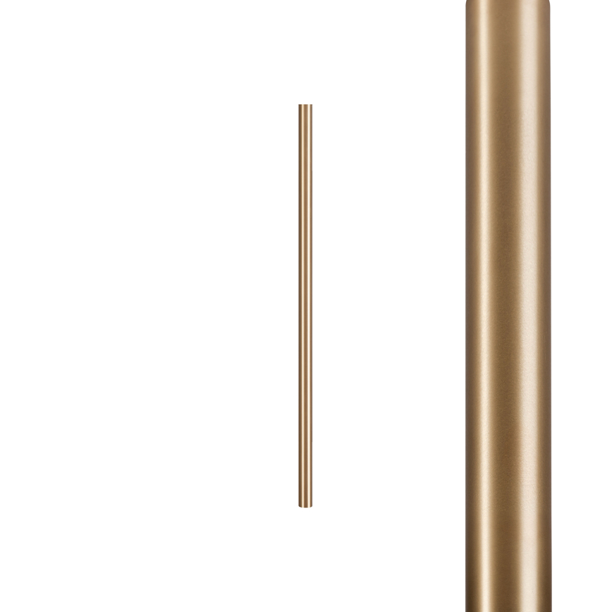 8567.jpg