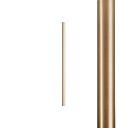 8567.jpg