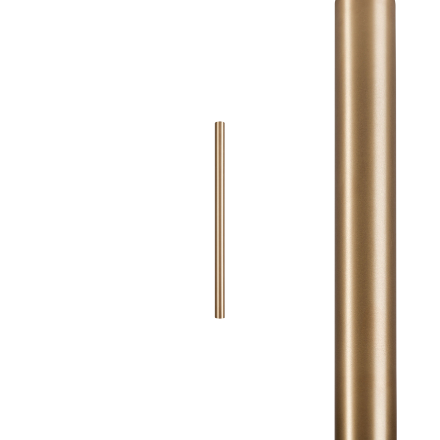 8571.jpg