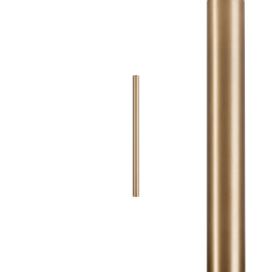 8571.jpg