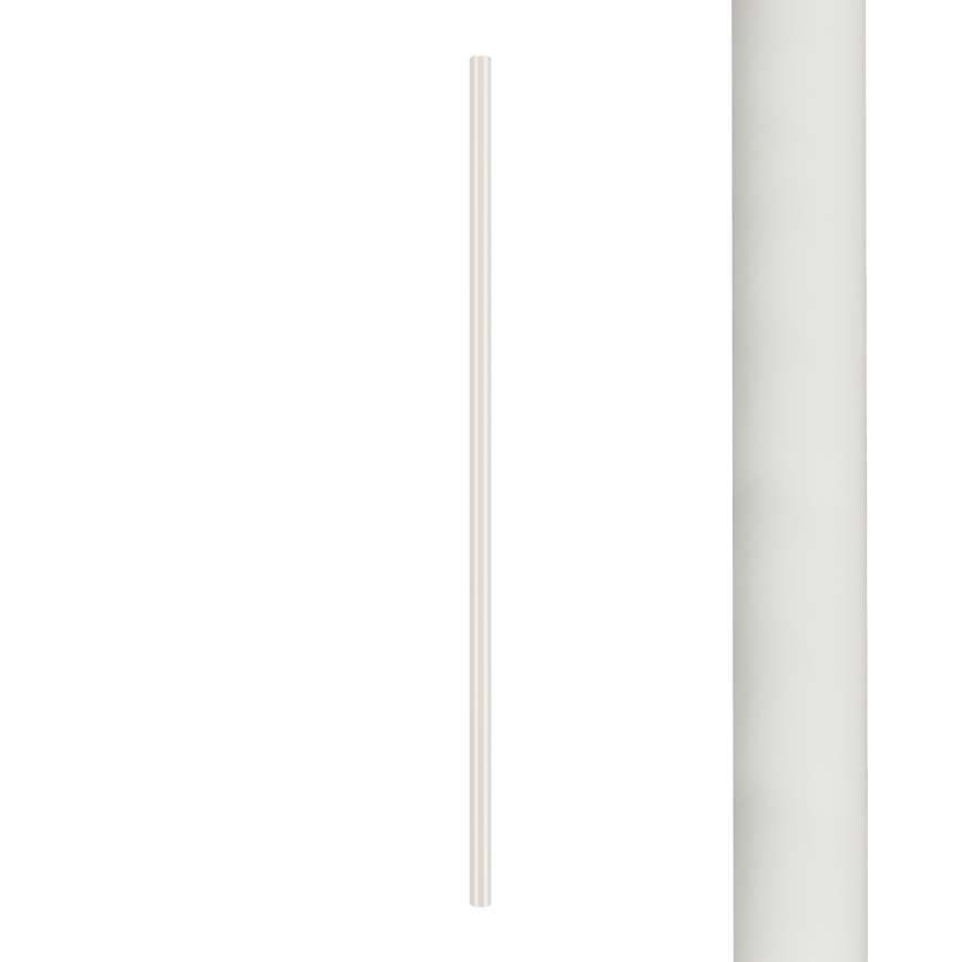 8488.jpg