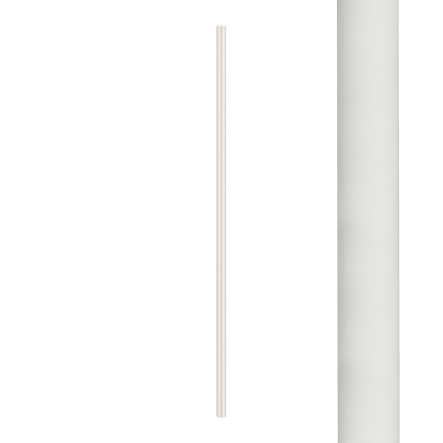 8488.jpg