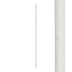 8488.jpg