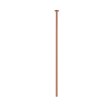 10922.jpg