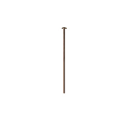 10912.jpg