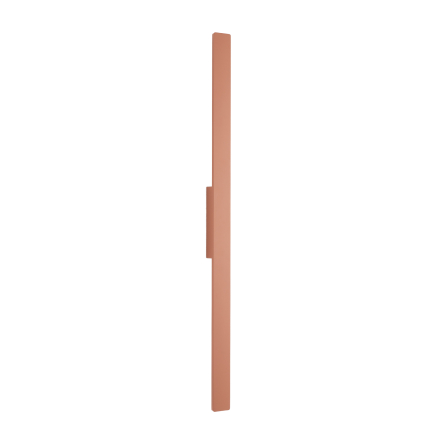 11557.jpg